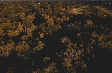 view from above of a forest golf park