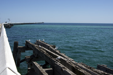 Fototapeta na wymiar Seagulls on the skeleton jetty, Busselton, WA, Australia