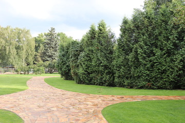 Stone paths in the park. A green lawn and a growing shrub. Park with beautiful paths of natural stone.