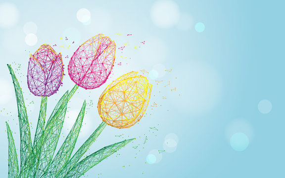 Tulip flowers form lines, triangles and particle style design. Illustration vector