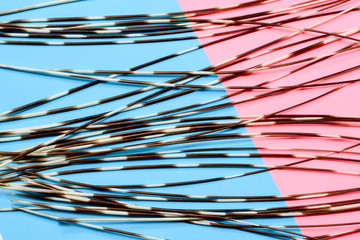 Porcupines quills or spines on pink-blue background