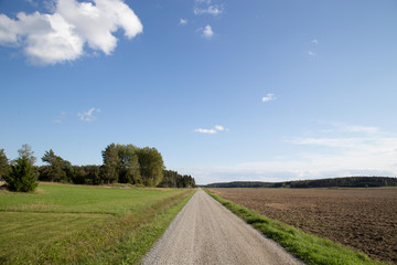 Country road with blue sky.