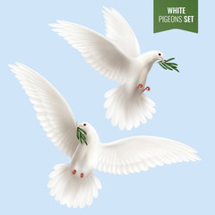 White Dove Realistic Set