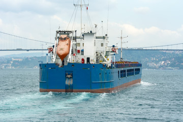 View of modern safety lifeboat carried by a cruise ship for use in emergency evacuation