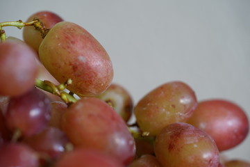 Weintrauben, rot