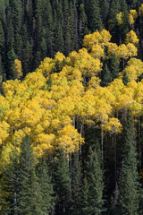 The San Juan Mountains of Colorado in Autumn