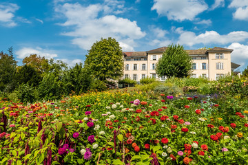 Fototapeta na wymiar Gardens near the city of Zurich, Switzerland