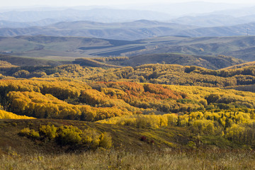 Autumn. Natural landscape. Bright colors of the autumn forest on the rocky slopes of the mountains....
