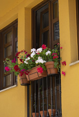 Fototapeta na wymiar Flowerpots in a balcony