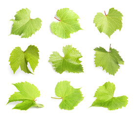 Set with green grape leaves on white background