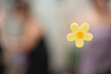 Fiore bokeh