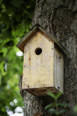 Birdhouse made of wood