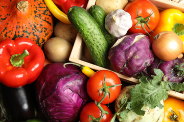 Many fresh ripe vegetables as background. Organic food
