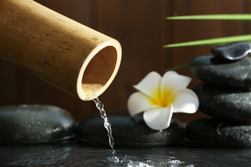 Fototapeta premium Traditional bamboo fountain with spa stones and flower, closeup. Space for text