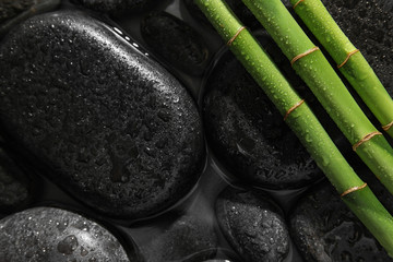 Bamboo branches and spa stones in water, top view. Space for text