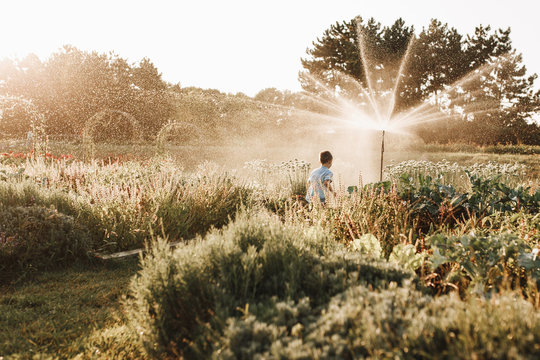 Child playing with garden sprinkler. Kid play with gardening hose watering flowers