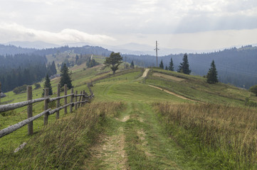 Obraz premium road in the mountains