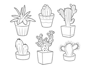 different cactuses and succulents  set