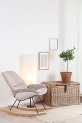 Stylish room interior with young olive tree