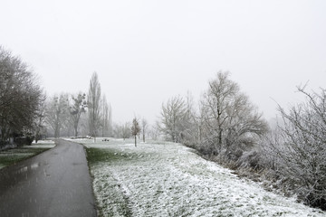 Giboulée de première neige sur arbres au bord de Loire 41220