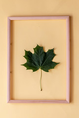wooden frame with maple leaf