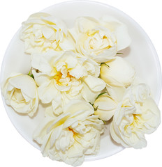 Bouquet of delicate white roses on a white saucer top view on white background