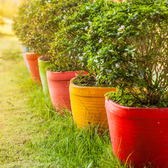 Colorful pots in the garden square