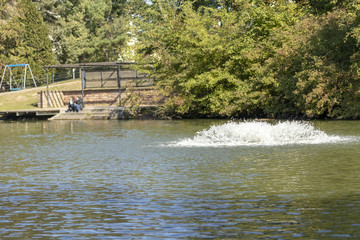 Wasserstrudel in einem Teich im Stadtpark Rastatt