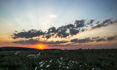 sunset dawn sunrays over the city sky field flowers