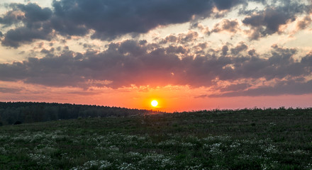 sunset dawn sunrays over the city sky field flowers