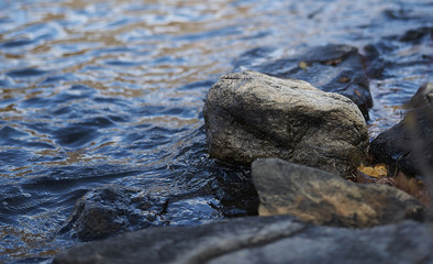 water