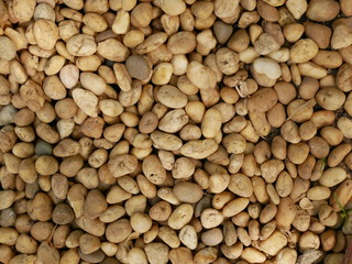 brown stone texture background