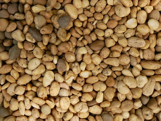 rock,stone in garden floor,background of stone