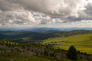 Landscape of green valley flooded with light and lush green grass and trees, mountains, covered with stone, a fresh summer day under a blue sky with white clouds and sun rays in Altai mountains