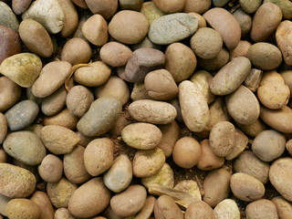 rock texture,stone background,pebbles on the beach