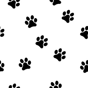 Black paw seamless pattern icon vector silhouette o, isolated on background