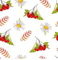 Autumn berries tea on white wooden background Rosehips Rowan hawthorn sea-buckthorn, black chokeberry Daisy Kalina