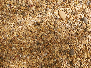 white sesame seeds in the sand