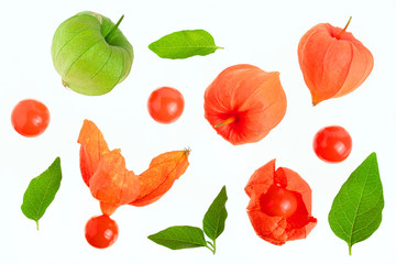 physalis with leaves isolated on white background. Top view. Flat lay pattern