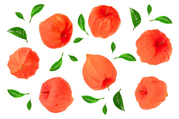 physalis isolated on white background. Top view. Flat lay pattern