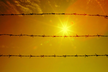 Sun behind barbed wire