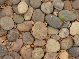 background of stones