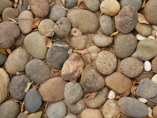 rock,stone texture background