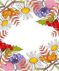 Autumn berries tea on white wooden background Rosehips Rowan hawthorn sea-buckthorn, black chokeberry Daisy Kalina