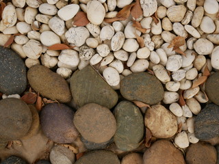 beauty stone in garden nature background