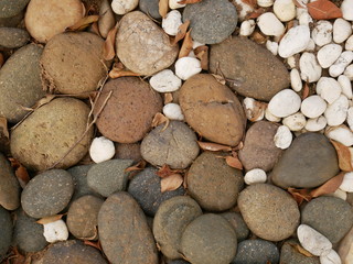 beauty stone in garden nature background