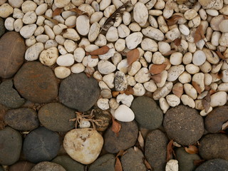 rock floor in garden,pebbles on the beach,stone background