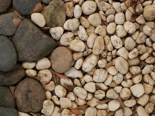 stone in garden nature background
