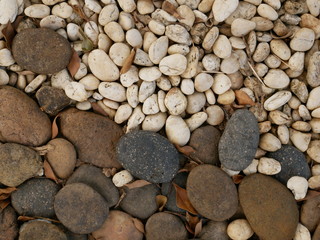 stone in garden nature background