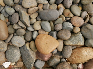 pebbles on the beach